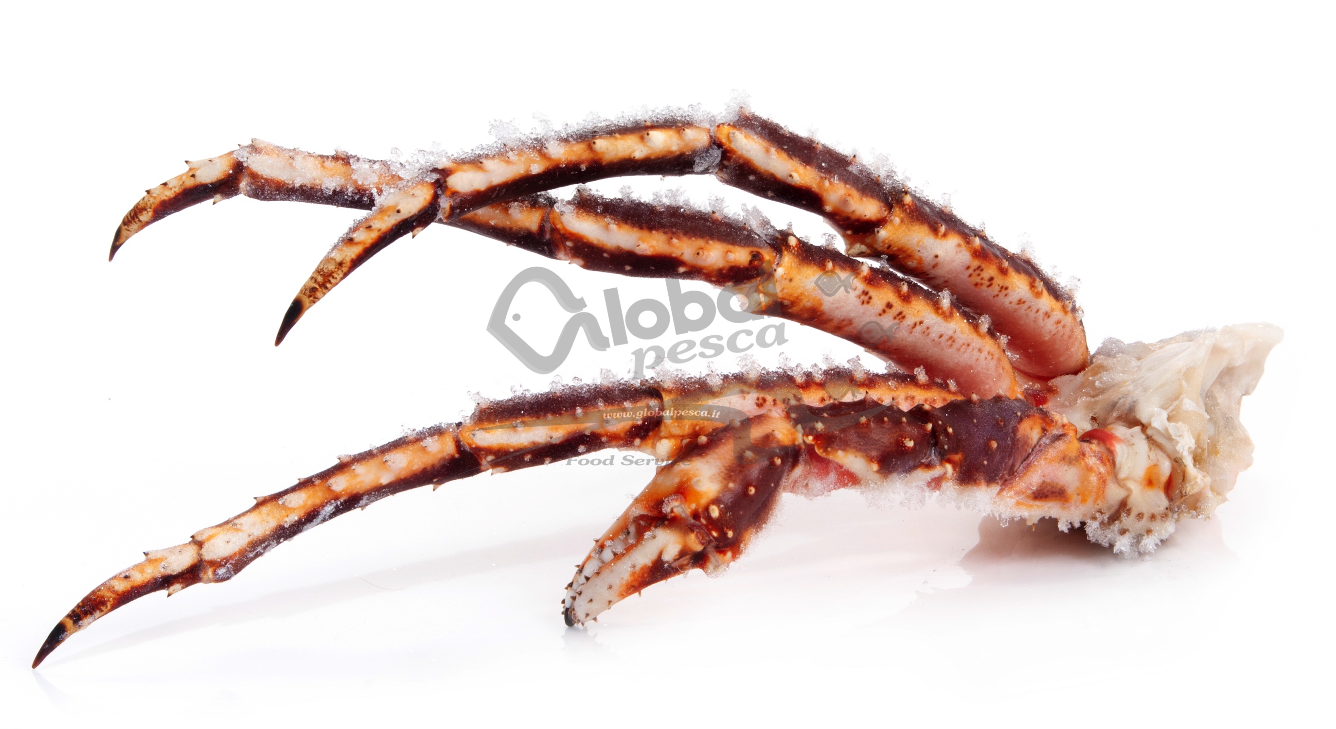 Allo scoperta del King Crab, il granchio reale