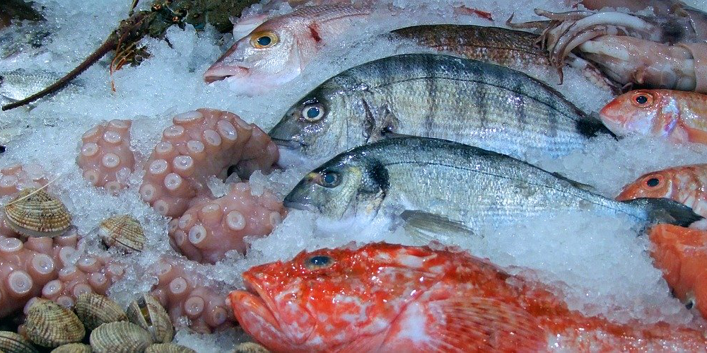 Il pesce fresco: consigli e norme per una corretta valutazione