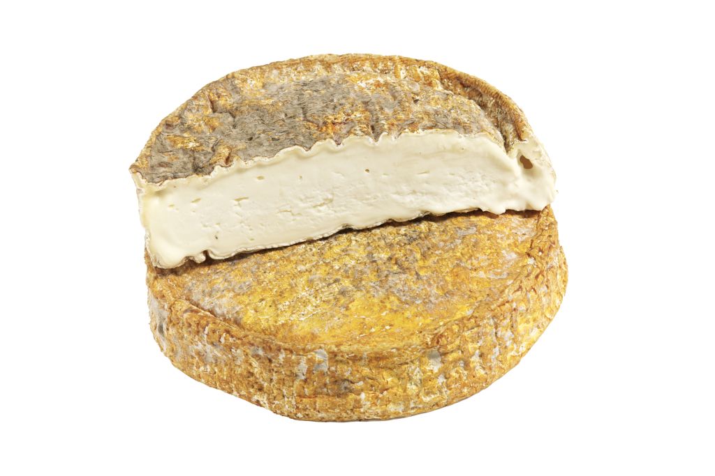 TOMA MACCAGNO FORMA 1,8 kg LC