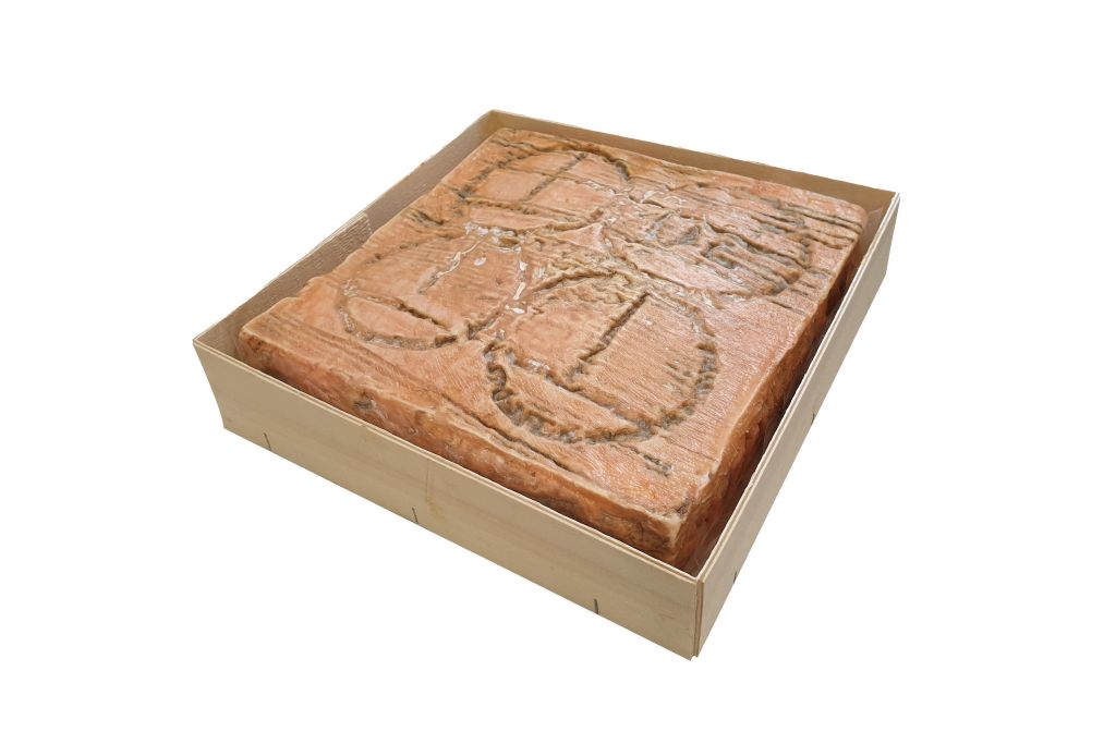 TALEGGIO DOP 100 GIORNI LC