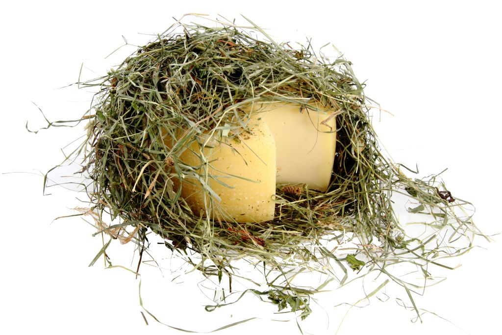 PECORINO NEL FIENO 2 kg LC