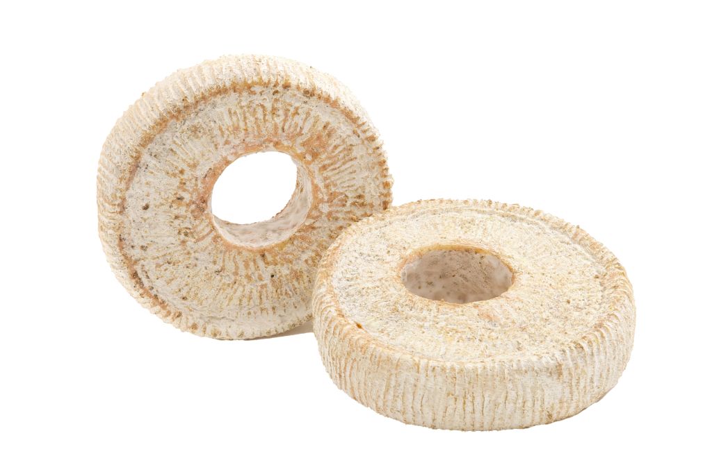 TOMA MACCAGNO CON BUCO FORMA X2,5 kg LC