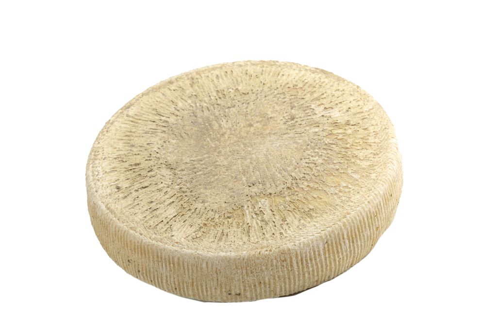 FORMAGGIO TESTUN DI VACCA 1/4 1,5 kg LC