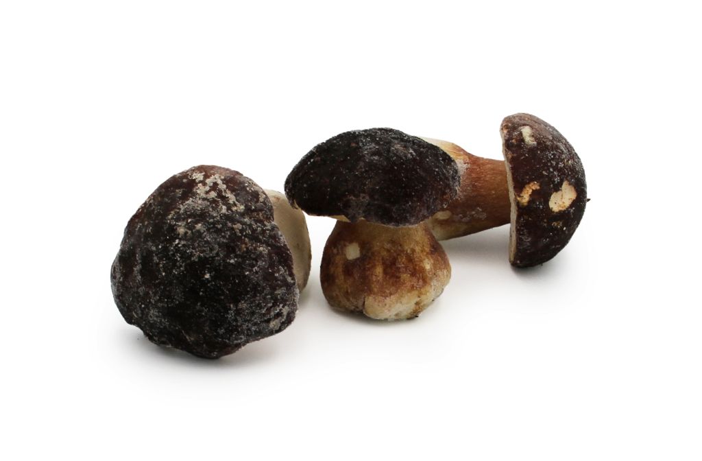 FUNGHI PORCINI INTERI EXTRA | CT: 1CF X 5kg | GREENS FOOD