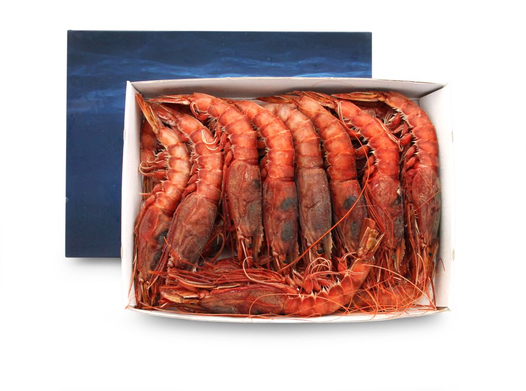 GAMBERO ROSSO XXL 18-20 'AUTENTICO'