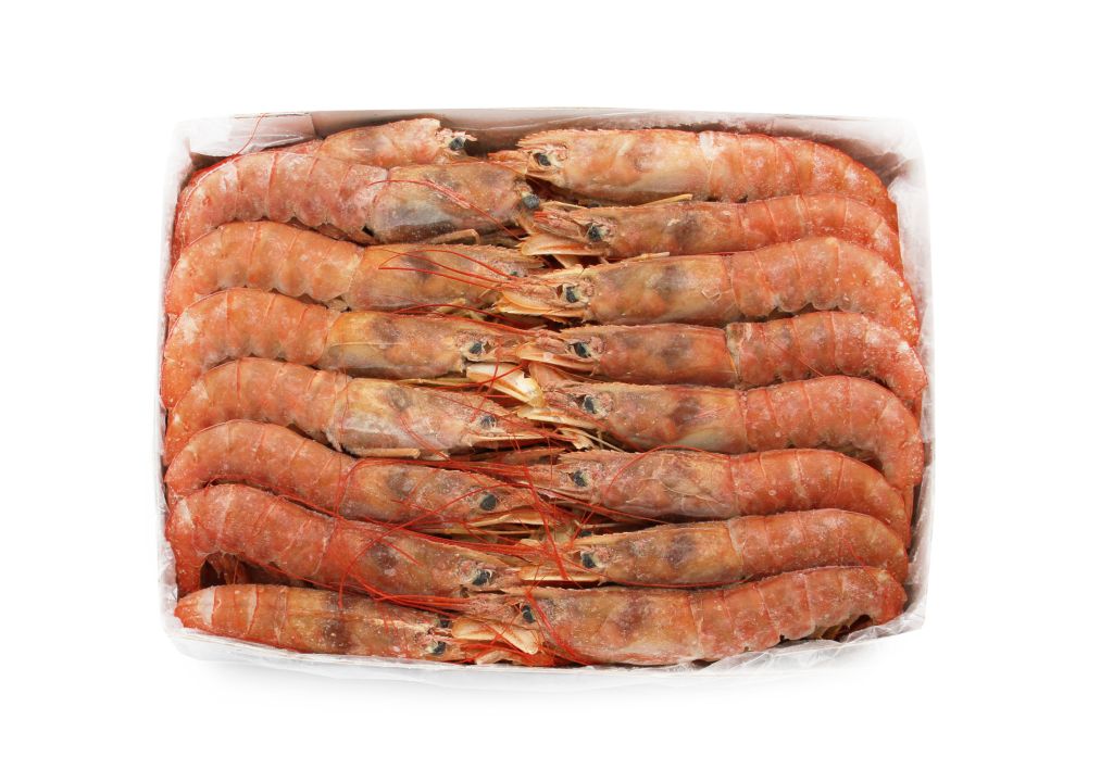 GAMBERO ARGENTINO L1 BORDO