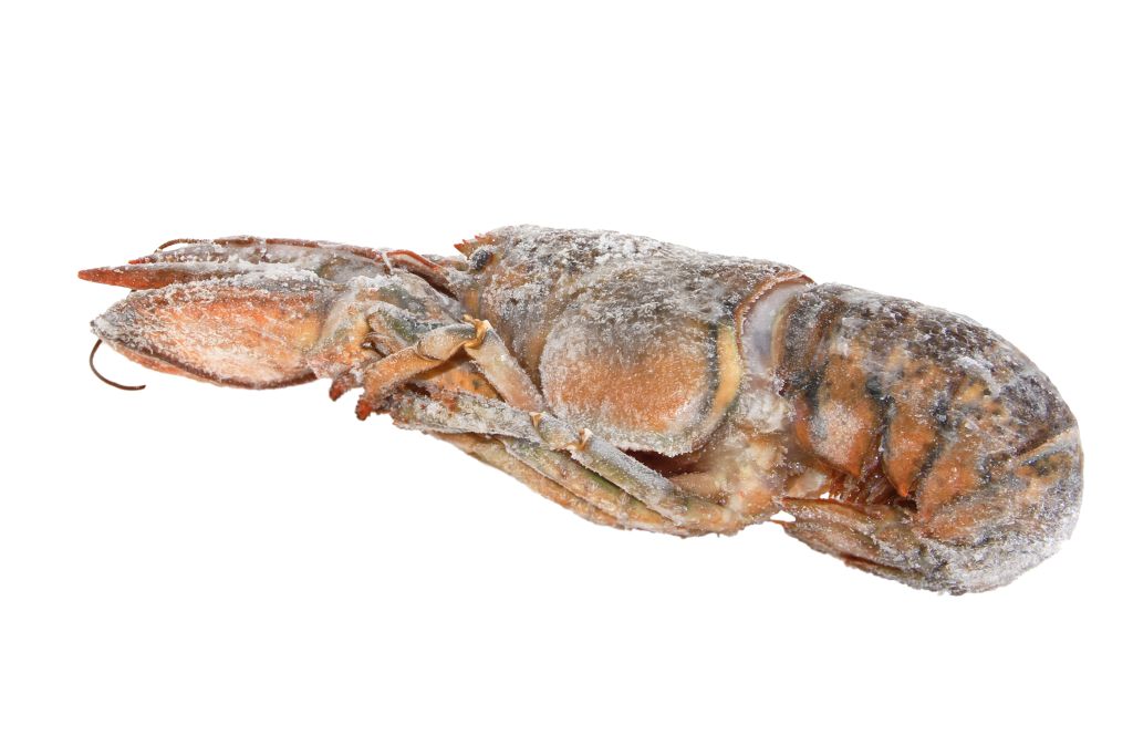 ASTICE AMERICANO CRUDO RETE 500/600g