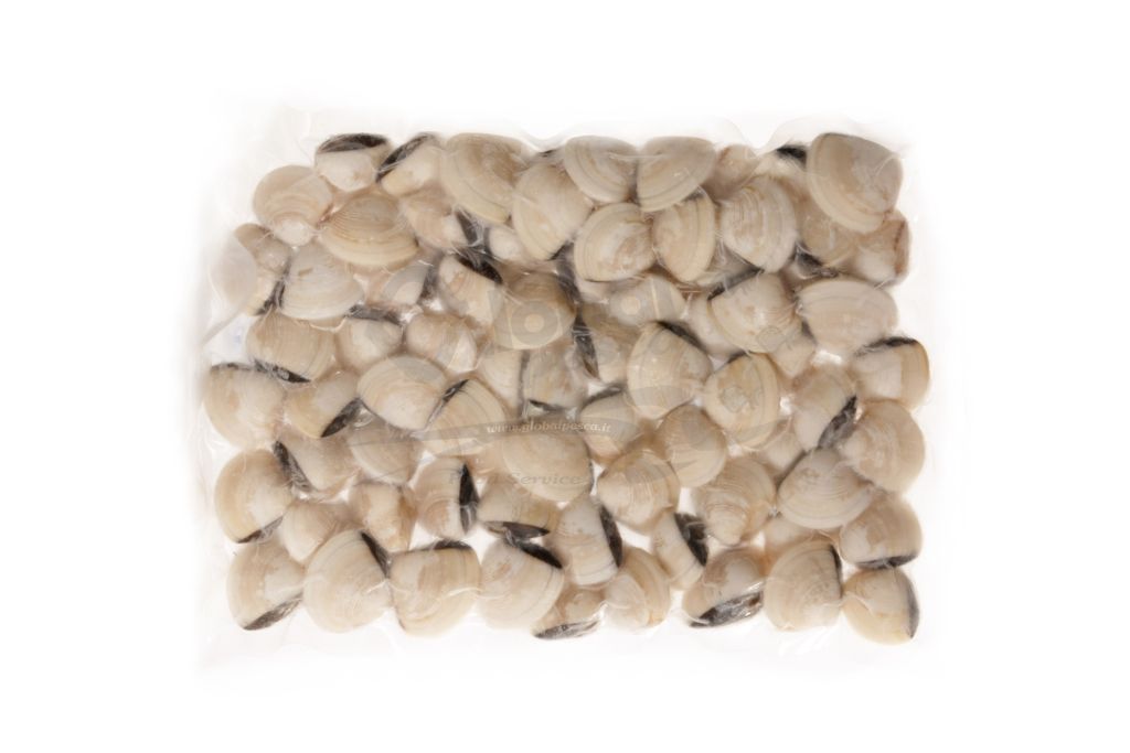 VONGOLA DEL PACIFICO BIANCA 60/80