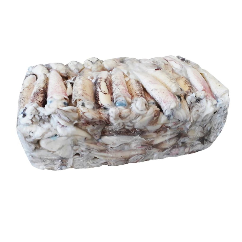 CALAMARO PATAGONICO C4L 10/13 WOFCO