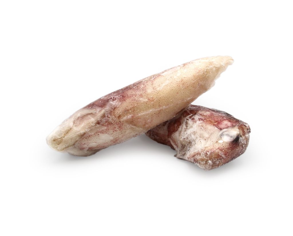 CALAMARO INTERO 3P IWP 6kg MAROCCO