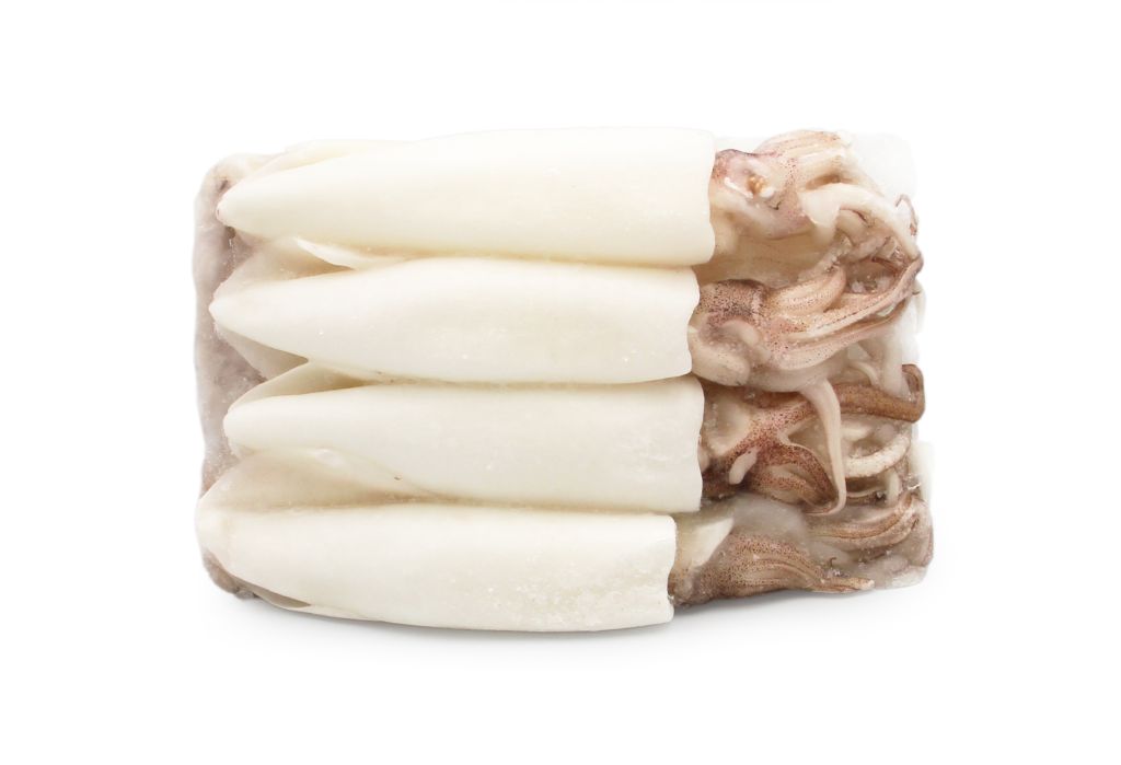 CALAMARO INDOPACIFICO PULITO U/5 INDONESIA