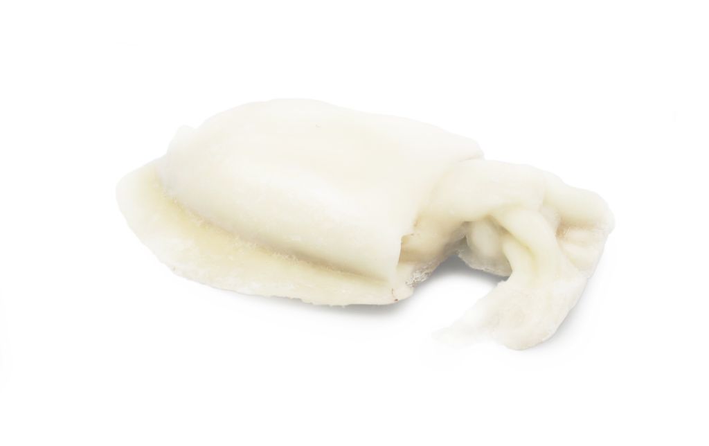 SEPPIA PULITA 1000/2000 IQF GHANA