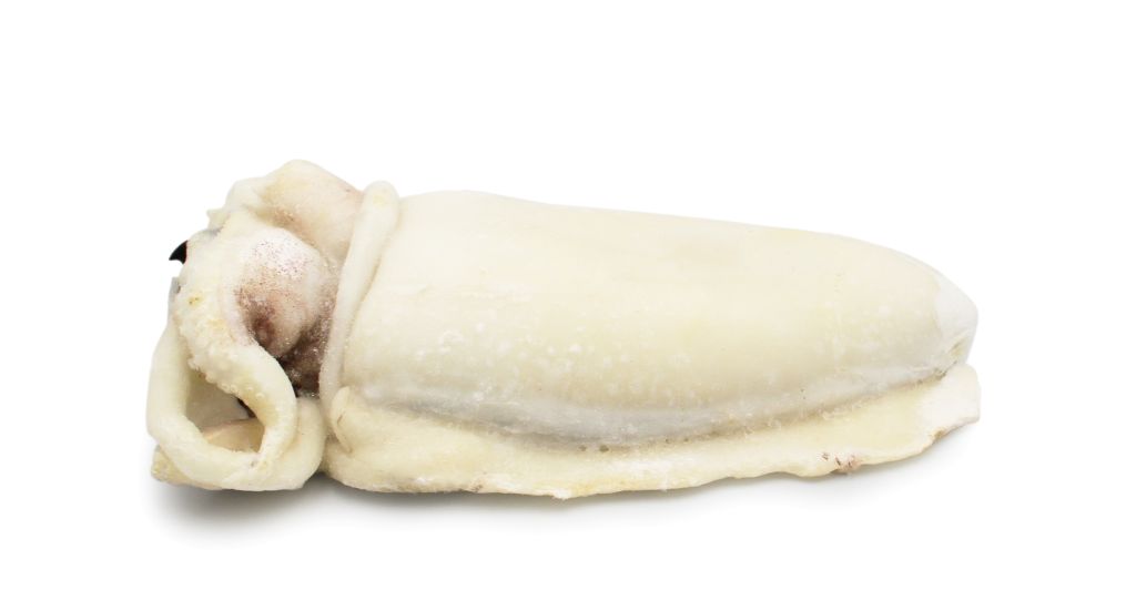 SEPPIA PULITA 50/100 CIUFFO PULITO IQF MAROCCO