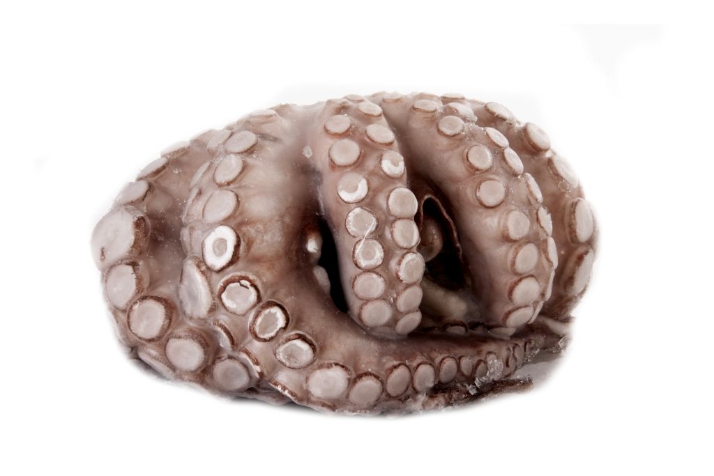 POLPO MAROCCO T5 1/1,5kg IQF