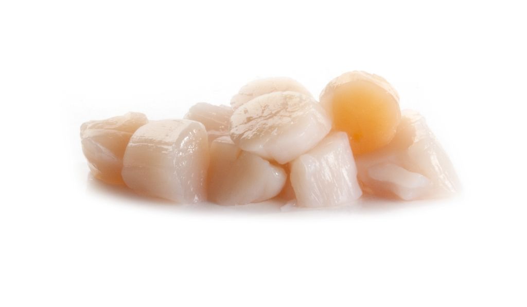 CAPPASANTA OCEANICA POLPA SENZA CORALLO DECONGELAT