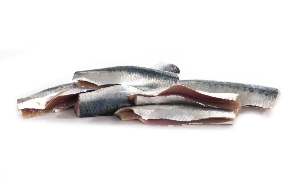 SARDINA FILETTO FR