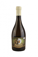 CLOE BIRRA ARTIGIANALE BLANCHE 50 cl | 6 BT X 50 cl LA TRESCA 5.1° VENDUTO A CARTONE INTERO PRENOTAZIONE NON RENDIBILE
