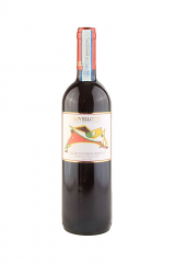 NEBBIOLO COLLINE NOVARESI VAL PLAZZA DOC | 6BT X 750ml 2022 ROVELLOTTI 13,5° PRENOTAZIONE NON RENDIBILE