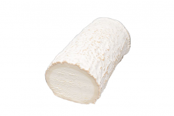 FORMAGGIO BUCHE DE CHEVRE FORMA X 1 kg LC