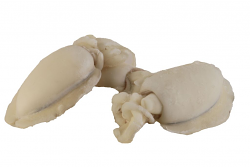 SEPPIA PULITA SENEGAL 200/400 IQF X 6kg