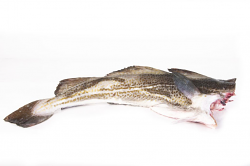 MERLUZZO NORDICO GABILAU  DECAPITATO FR