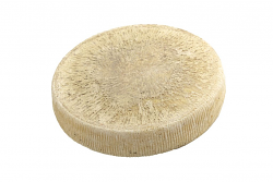 FORMAGGIO TESTUN DI PECORA 1/4 1,5 kg LC