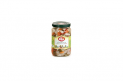 GIARDINIERA X1700ml DV