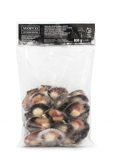 CAPPASANTA DEL PACIFICO 1/2 GUSCIO C/CORALLO 20/30