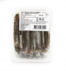 CANNOLICCHIO OCEANICO 10-14cm