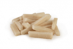 TOTANO GIGANTE DEL PACIFICO FETTUCCINE