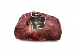 BOVINO AD SCAMONE ANGUS URUGUAY FR