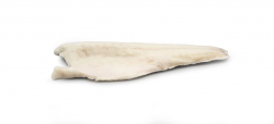 BRANZINO FILETTO 120/160g C/P RC IQF