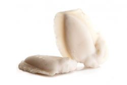 SEPPIA INDOPACIFICA PULITA 20/40 IQF