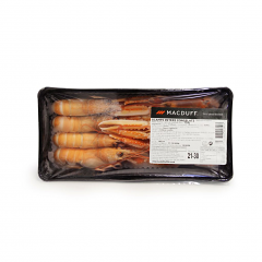 SCAMPO INTERO 21/30  SCOZIA