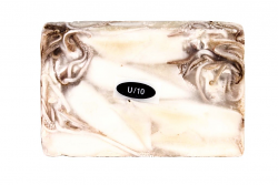 CALAMARO DEL PACIFICO PULITO U/10 1,6kg MILLENNIUM