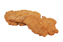 COTOLETTA POLLO RUSTICA 250g DIA