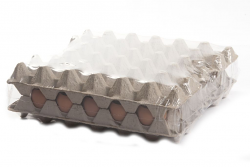 GUSCI UOVO NATURALE | 4 CF X 30 PEZZI | ICEWER