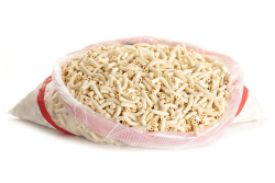 SEDANINI GIALLI | 1CT X 3kg | SURGITAL