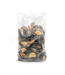 COZZA CILENA MEZZO GUSCIO COTTA 60/80