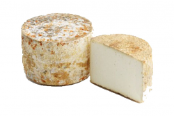 FORMAGGIO CASTEL-J FORMA 5,5 kg LC