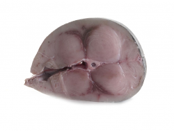 PESCE SPADA FILETTO FR