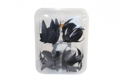 CRACKERS SALATI NERO SEPPIA | 1 CT X 48 PEZZI | ICEWER