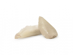 CALAMARO PULITO 3P IWP 6kg MAROCCO