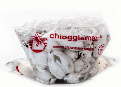 SEPPIA PULITA IN ACQUA DECONGELATO