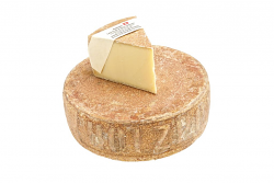 HOLZHOFER LATTE CRUDO FORMA 4 kg LC