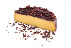 TOMA MONTE UBRIACA 1/2 FORMA LC