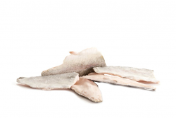 TROTA IRIDEA BIANCA FILETTO ITALIA 120/150g 5kg