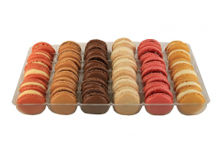 MACARONS | 72PZ X 15g | DELIFRANCE