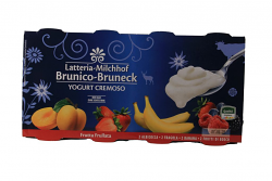 YOGURT INTERO GUSTI MISTI 24X125g LAT BRUN