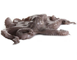 POLPO 2/3 LAVORATO DECONGELATO